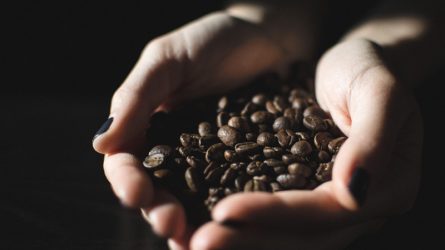 Khoa học chứng minh uống cà phê đúng cách sẽ sống lâu hơn