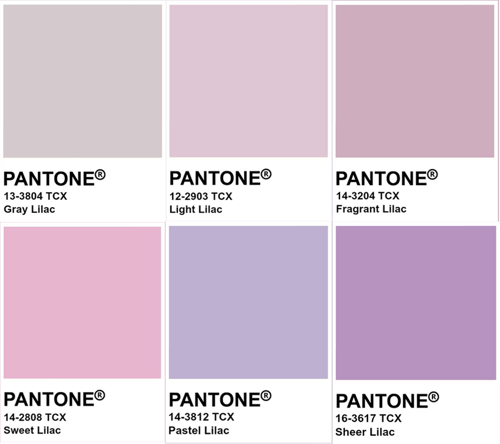 Các màu tím lilac khác nhau trên hệ thống Pantone